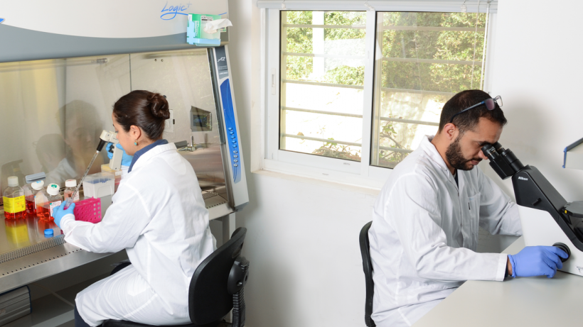 Shared tissue culture room
